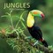 The Gifted Stationery 2026 Jungle Square Wall Calendar - 16-Month Coverage & 16 Month Calendar - 180 Reminder Stickers & 2026 Wall Planner - 12 x 12 in